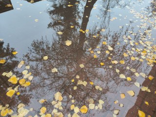 Дождь, снег и другие прелести? Определяем погоду по народным приметам 10 ноября в день Параскевы Пятницы