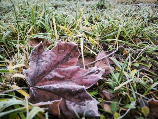 Прощай, осень: Гидрометцентр предупредил Подмосковье о первых настоящих морозах