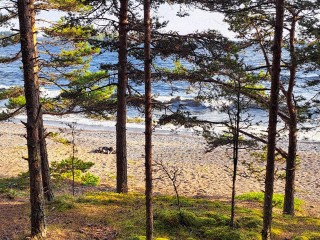 Как отдохнуть на море зимой, не выезжая за границу: стоит обратить внимание на один тип отелей