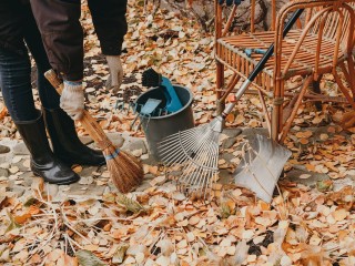 «Зимуют вредители»: специалист поставил точку в вопросе, нужно ли убирать опавшую листву