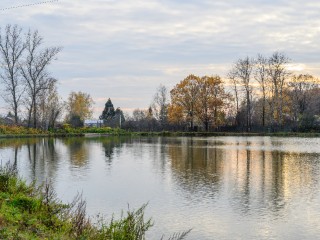 Жители решат, какие пруды расчистят в Подмосковье в следующем году: как отдать голос через «Добродел»