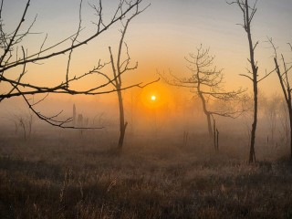 «Обернешься — и тебя заберут!»: почему 19 ноября Павла Ледостава нельзя делать ЭТО, даже если очень хочется