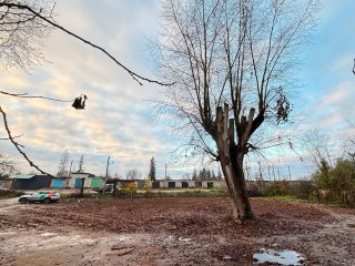 Пять аварийных домов в поселке Тучково отправились на покой: что появится на освободившейся земле?