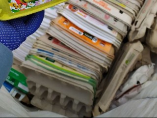 Маленький шаг к большой чистоте: где в эту субботу можно сдать отходы и помочь природе