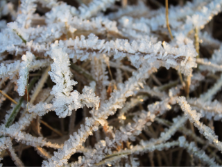 В Подмосковье на выходных ожидается первый снег и до -4°С