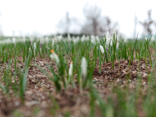 Синоптики пообещали весну в конце осени: прогноз погоды на 28-30 ноября