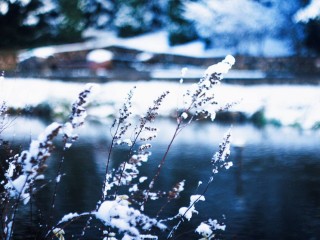 Можете планировать прогулки: какая погода установится в Подмосковье в ближайшие дни