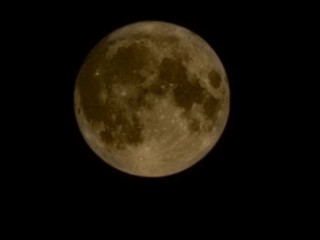 Осетровая Луна и суперлуние взошло 5 ноября: куда и во сколько смотреть