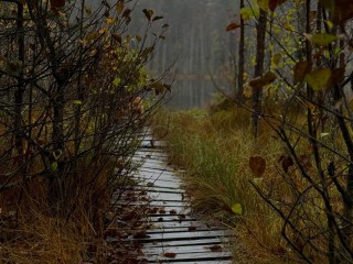 Что категорически запрещалось делать 8 ноября, чтобы зло не вернулось вдвойне