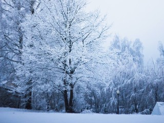 Самый «мокрый» среди всех 15 ноября: осенний день в Москве и области оказался рекордным по осадкам за 75 лет