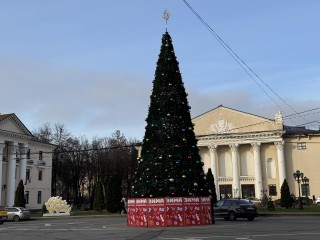 Главная елка Видного засияет первого декабря