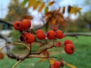 Гороскоп для всех знаков Зодиака на 26 ноября 2025: Рыбы откажутся от поездки, Козероги избегут подвоха, а Львы проявят заботу о близких