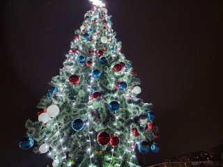 Мастер-классы, викторины и встреча с Дедом Морозом: в Солнечногорске откроют зимний сезон 1 декабря