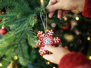 Новый год напрокат: елки, игрушки и украшения теперь можно не покупать, а взять в аренду