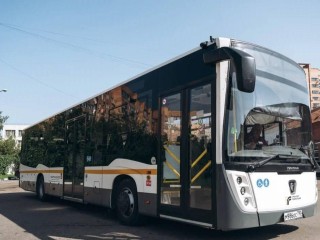Ноябрьский рекорд: какие автобусные маршруты пользовались наибольшей популярностью у жителей Подмосковья в праздники