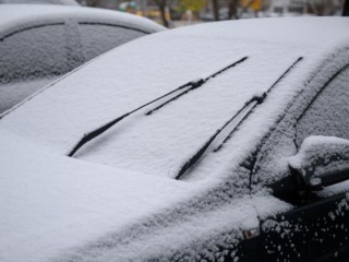 Когда выпадет снег? Синоптик Позднякова сообщила важную дату прихода зимы в Подмосковье