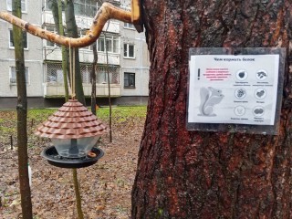 Строго по инструкции: кормушки для белок с описанием меню установили в парке