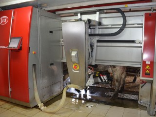 Большие идеи с малых ферм: как подмосковным сельхозпроизводителям заявить о себе в национальной премии «Агроинвестор года»