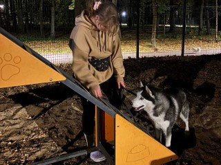 От школы каюров до скандинавской ходьбы: афиша парков Ступина на неделю