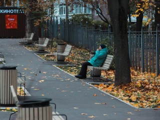 Что появится на месте спиленных деревьев в парке Детский городок