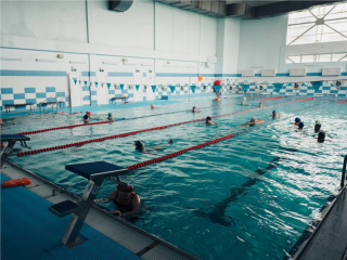 Кто может поплавать бесплатно в ФОКе «Олимп» Лосино-Петровского