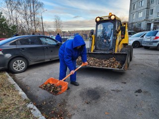 На Барских прудах оперативно устранили последствия шквалистого ветра