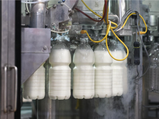 В Подмосковье вырос объем инвестиций в молочное производство: где появятся новые мощности и как это повлияет на цены и ассортимент