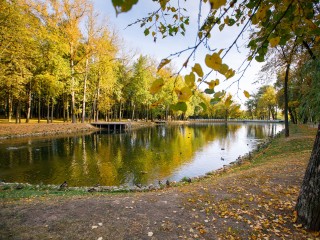 Улицу Ваншенкина откроют в Воскресенске в честь 100-летия со дня рождения поэта