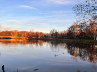 Начало декабря в Подмосковье будет бесснежным и не по-зимнему теплым