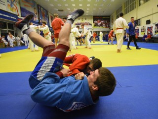 Удар в печень: в столичном регионе начнут привечать боевые искусства