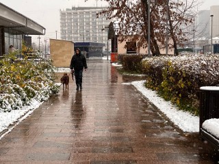 Рекордное похолодание: в Подмосковье столбики термометров опустились до -7,6°