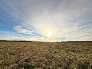 Тайны Настасьи Овечницы: вот почему наши предки пекли пироги 11 ноября и как это влияет на судьбу