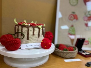 Вязаные «угощения» удивили посетителей дома культуры в Литвинове