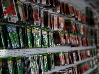 По два ведра с куста: семена урожайных томатов нужно покупать в декабре