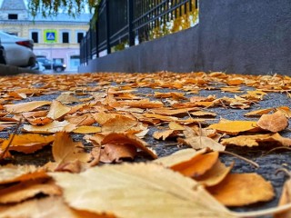 Дождливая и пасмурная погода ожидается в Лосино-Петровском