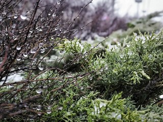 Снега не будет еще долго: Подмосковье войдет в декабрь почти по-осеннему
