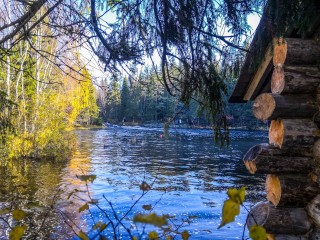 Жители Чехова поддерживают расчистку Ефимовского пруда в голосовании Минэкологии