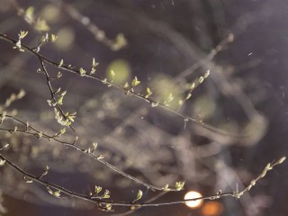 Самые высокие позиции: синоптик рассказал о климатических рисках в Подмосковье