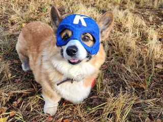 Спасатели извлекли собаку, спрятавшуюся от хозяйки в укромном месте