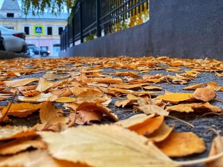 Последние теплые дни: когда в Подмосковье придут резкие холода по прогнозу синоптика