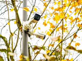 Стало известно, что происходит с благоустройством лесопарка Новой Трехгорки