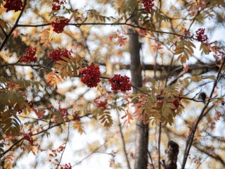 Нескучная неделя в Воскресенске: расписание мероприятий в парках для детей и взрослых