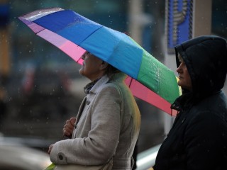 Дождливо, ветрено и тепло: какой будет погода в Подмосковье 18 ноября