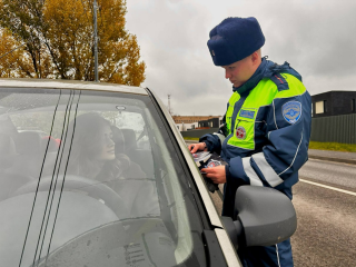 Госавтоинспекторы Химок напомнили водителям, чем опасна спешка перед «зеброй»