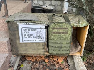 Собак в бронежилетах и бронированные будки в зоне СВО сфотографировал подмосковный депутат