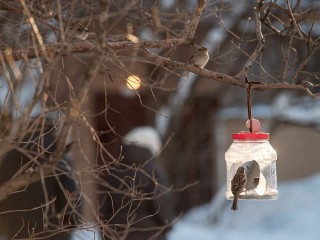 Подмосковье впервые этой зимой окажется под снегом 15-16 ноября — Тишковец
