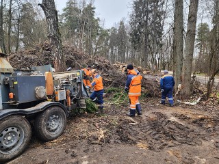 Спиленные аварийные деревья в Красноармейске по-своему послужат на благо города