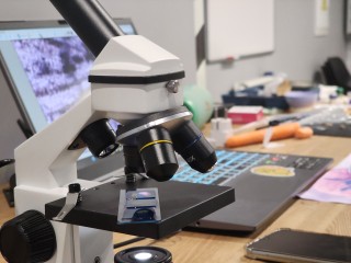 Кандидат биологических наук покажет, как танцует тихоходка в Черноголовке