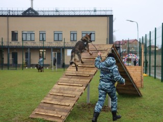 Собаки в строю: в Лотошине открылся Центр кинологической службы ОМВД