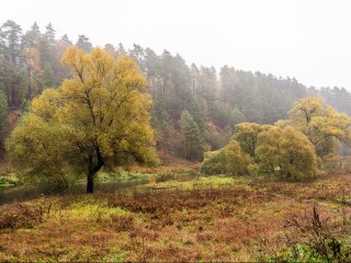 Последний день осени удивляет: какие осадки ждут Подмосковье 30 ноября